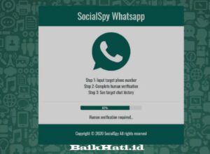 socialspy-whatsapp